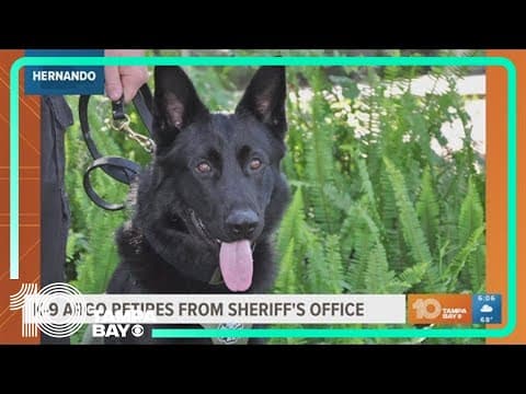 Hernando County K-9 retires from Sheriff's Office after 7 years