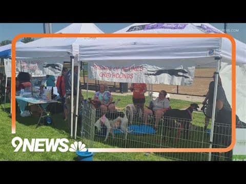 5th Annual Day With Dogs this weekend in Northglenn