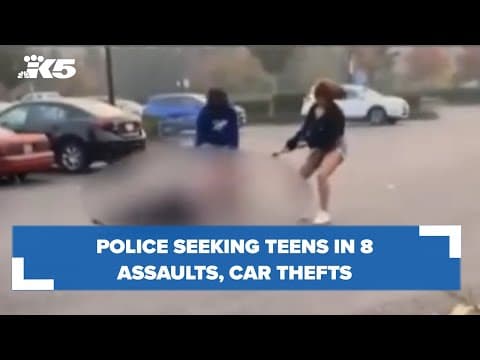 Police seeking teens in 8 assaults, car thefts that left victims traumatized