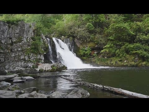Here are some Great Smoky Mountains trails to know as weather warms up