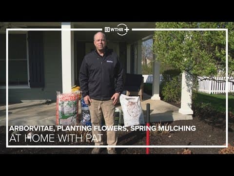 At Home with Pat | Arborvitae, Planting Flowers, Spring Mulching