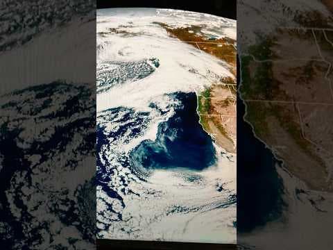 Western Washington forecast to see mild weather before rain sets in