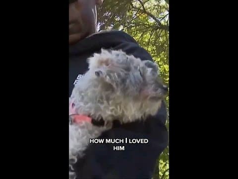 Chicago man reunited with missing dog after 10 years