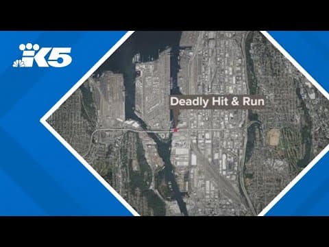 Seattle police arrest suspect in fatal SR-99 pedestrian hit-and-run