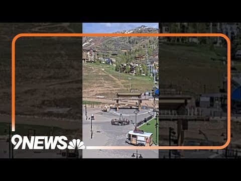 Bear Swipes at Person on Morning Walk in Colorado