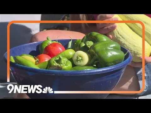 Proctor's Garden: How to succeed with vegetables