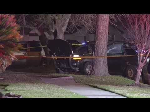 HCSO: Homeowner chased down, killed suspected BBQ pit thief in Humble