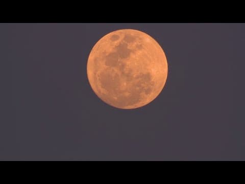 YouTube thumbnail for video 5f1hH4lj2C0