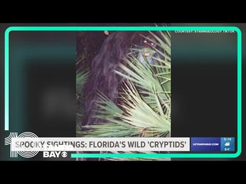 YouTube thumbnail for video 5h9hScnvdKk