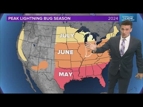 Peak lightning bug season may come a little earlier this year