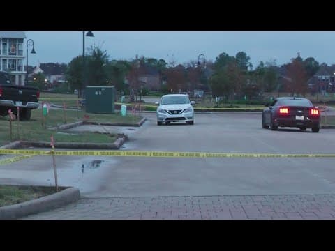 Man shot in head in domestic violence incident in League City