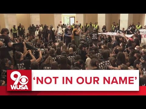 Jewish Voice for Peace Holds Massive Rally at Capitol for Israel-Gaza Ceasefire