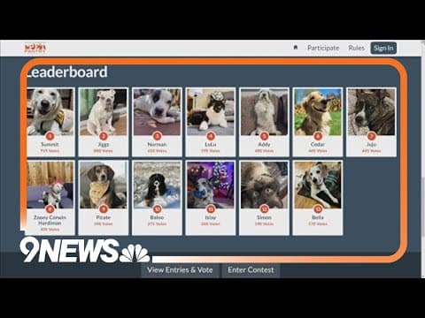 Colorado Pet Pantry holding next top pet model contest