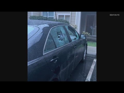 Police searching for vandals who went on vehicle damage spree