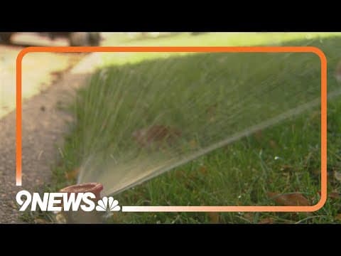 Denver Water says switching your watering days can help water systems