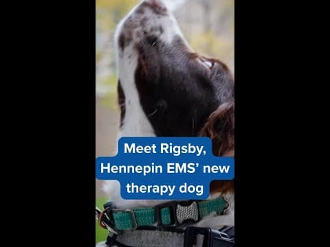 Meet Rigsby, Hennepin EMS' therapy dog helping first responders through trauma