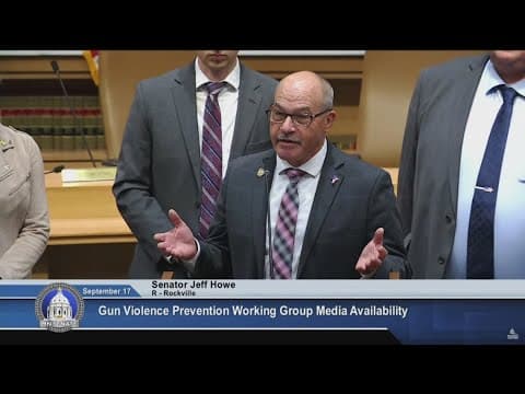 After Annunciation: Hear what lawmakers — on both sides — say about an assault weapons ban in MN
