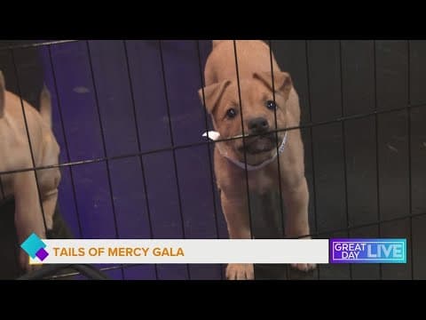Tails of Mercy Gala Raises Funds for New Spay and Neuter Clinic