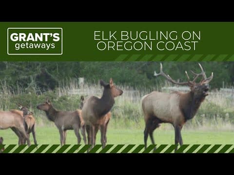 YouTube thumbnail for video 5y6RIJBH_Ek
