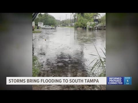 South Tampa residents see flooding after strong storms dump water on Monday