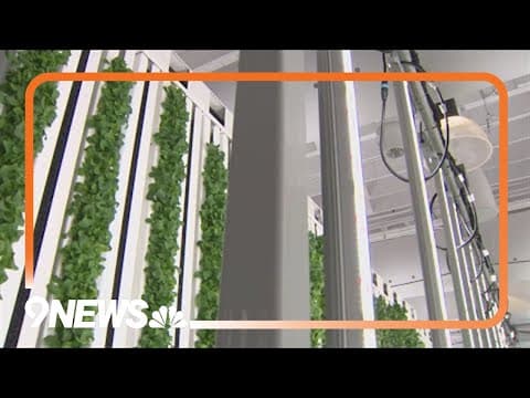 Denver spot proves farm-to-table eating is still possible, even in the middle of a city