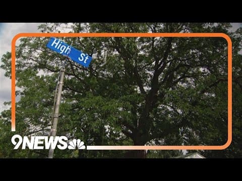 Bear with cub charges, scratches man in Boulder