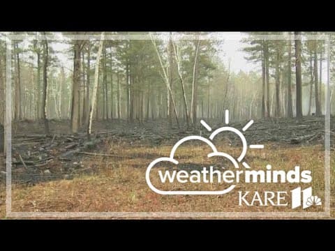 WeatherMinds: Wildfire season