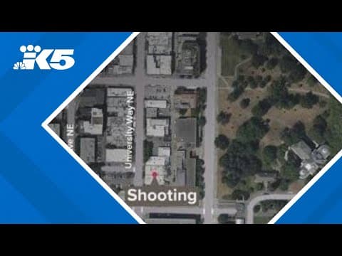 Police: Road rage incident ends in shooting near UW