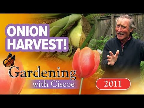 How to harvest onions | Gardening with Ciscoe | Full Episode