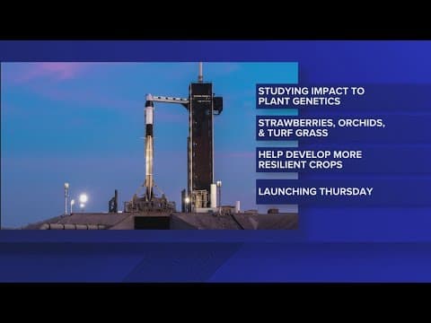 UF researchers sending seeds to space to study how spaceflight affects plant genetics and resilience