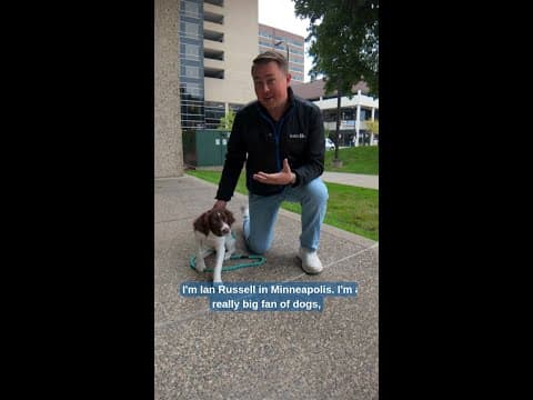 Meet Rigsby, Hennepin EMS' therapy dog helping staff through traumatic events