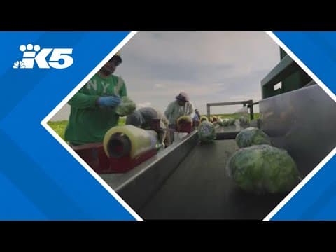 Labor Dept. warns of possible food shortages could come from deportation policies