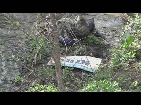 Federal AmeriCorps cuts reduce staff at Keep Knoxville Beautiful