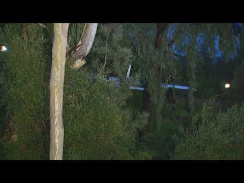 One dead after Cessna crashes Thursday morning in La Jolla