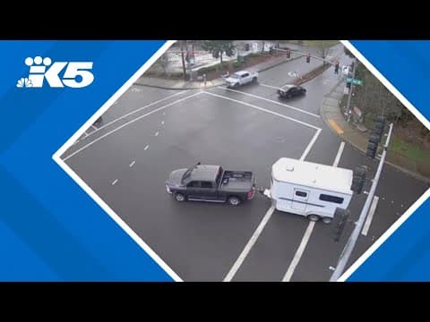 Bellevue police say this truck could be involved in theft of 2 donkeys