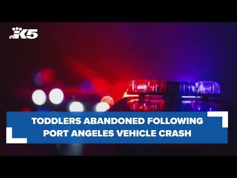 Children abandoned after vehicle crash