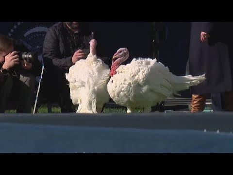 President Biden pardons 2 turkeys at the White House