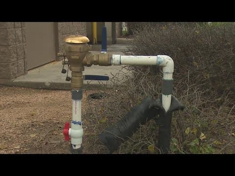 What do you need to buy for your yard before the freeze?