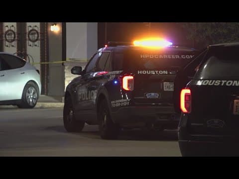 Woman stabbed to death outside restaurant in west Houston, police say