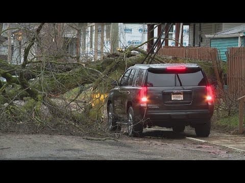 Large tree brings down power lines near downtown Indy following overnight storms