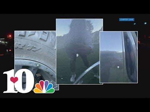 Woman describes what sounded to her like gunfire on I-75, discovers damage to vehicle