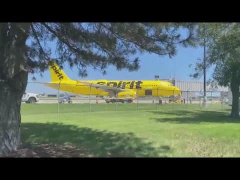 Spirit Airlines cuts routes, staff and flights as it struggles to stay in business