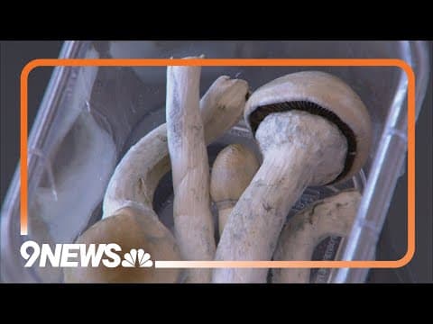 Denver creates special group to consider local regulations for psilocybin
