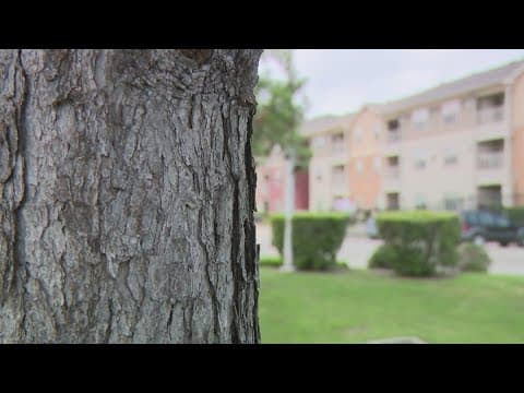 Harris County nursing homes, assisted living facilities to be required to have permanent generators