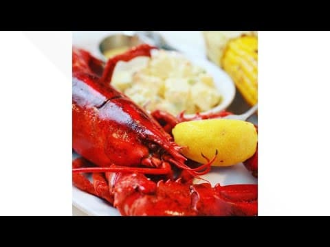Celebrating National Lobster Day with Ford's Fish Shack