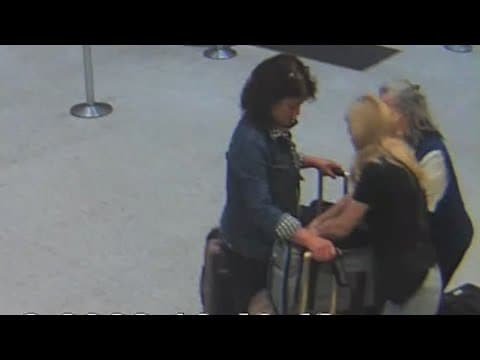 'Completely unhinged' | Rep. Dan Crenshaw blasts United Airlines over dog policy dispute