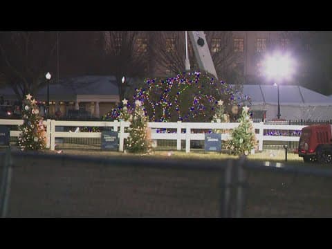 WATCH LIVE: National Christmas tree held by crane after wind knocks it over