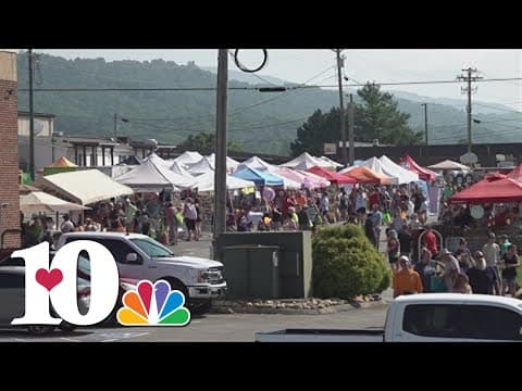 Grainger County Tomato Festival underway