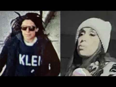 Woman pleading guilty to attacking 72-year-old woman and vandalizing 47 cars in Indianapolis