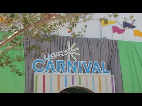 LASPCA to host 2nd Annual Carnival